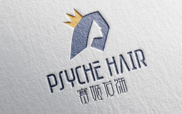 賽姬發飾品牌設計